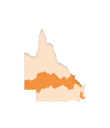 disability rollout stage 2
