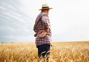 Farmer standing in a field.