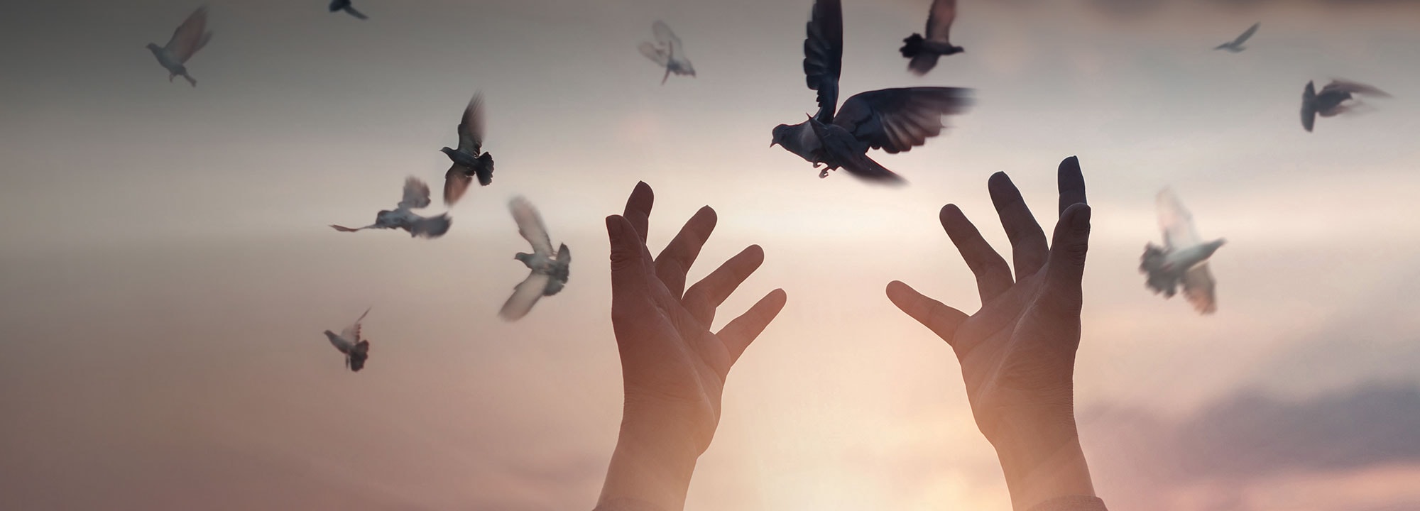 A pair of hands release doves into a darkening sky.